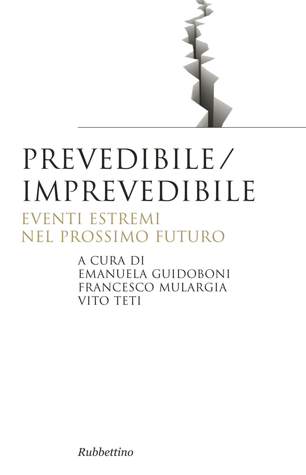 Prevedibile/imprevedibile. Eventi estremi nel prossimo futuro book