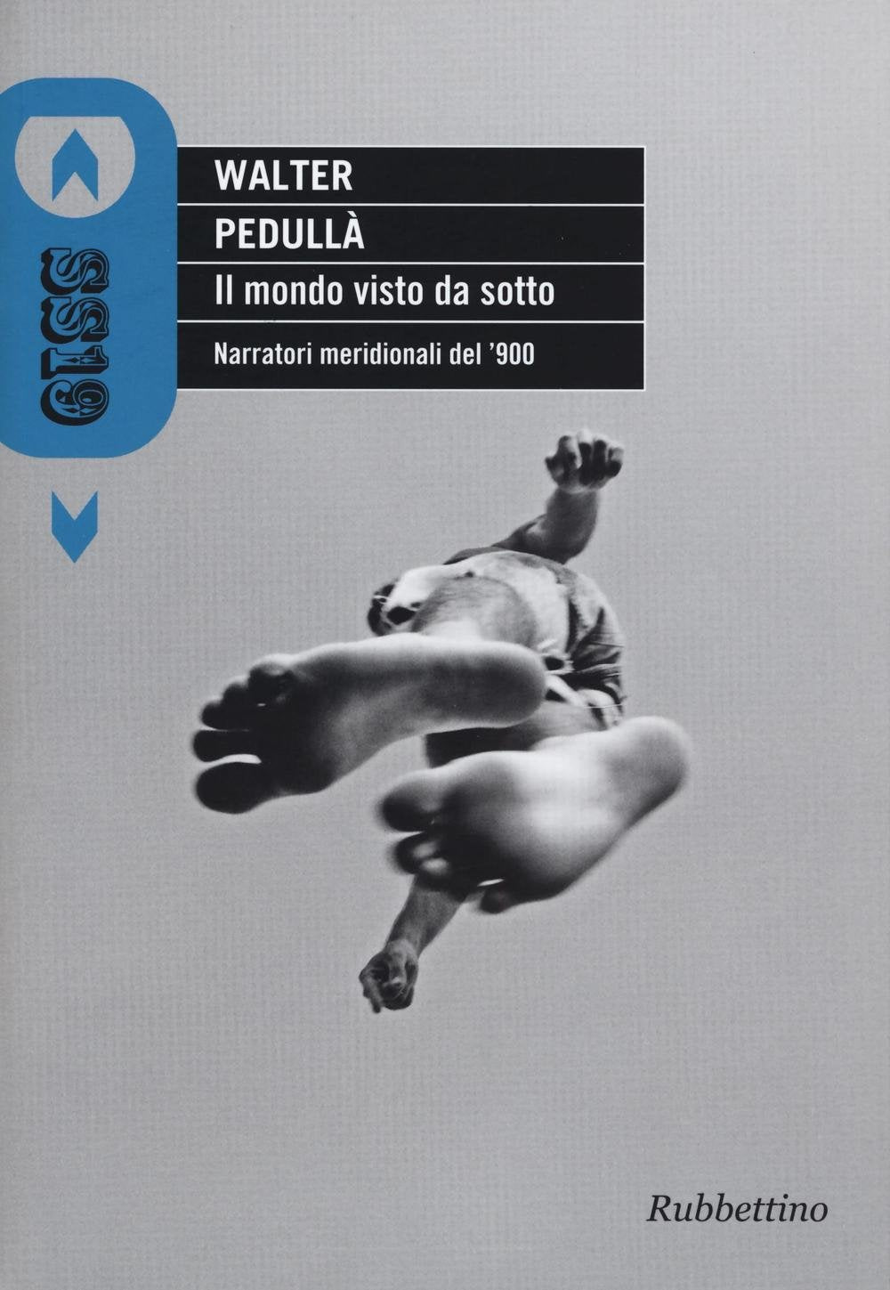 Il mondo visto da sotto. Il Sud come punto cardinale della narrativa del '900 Contemporary literature