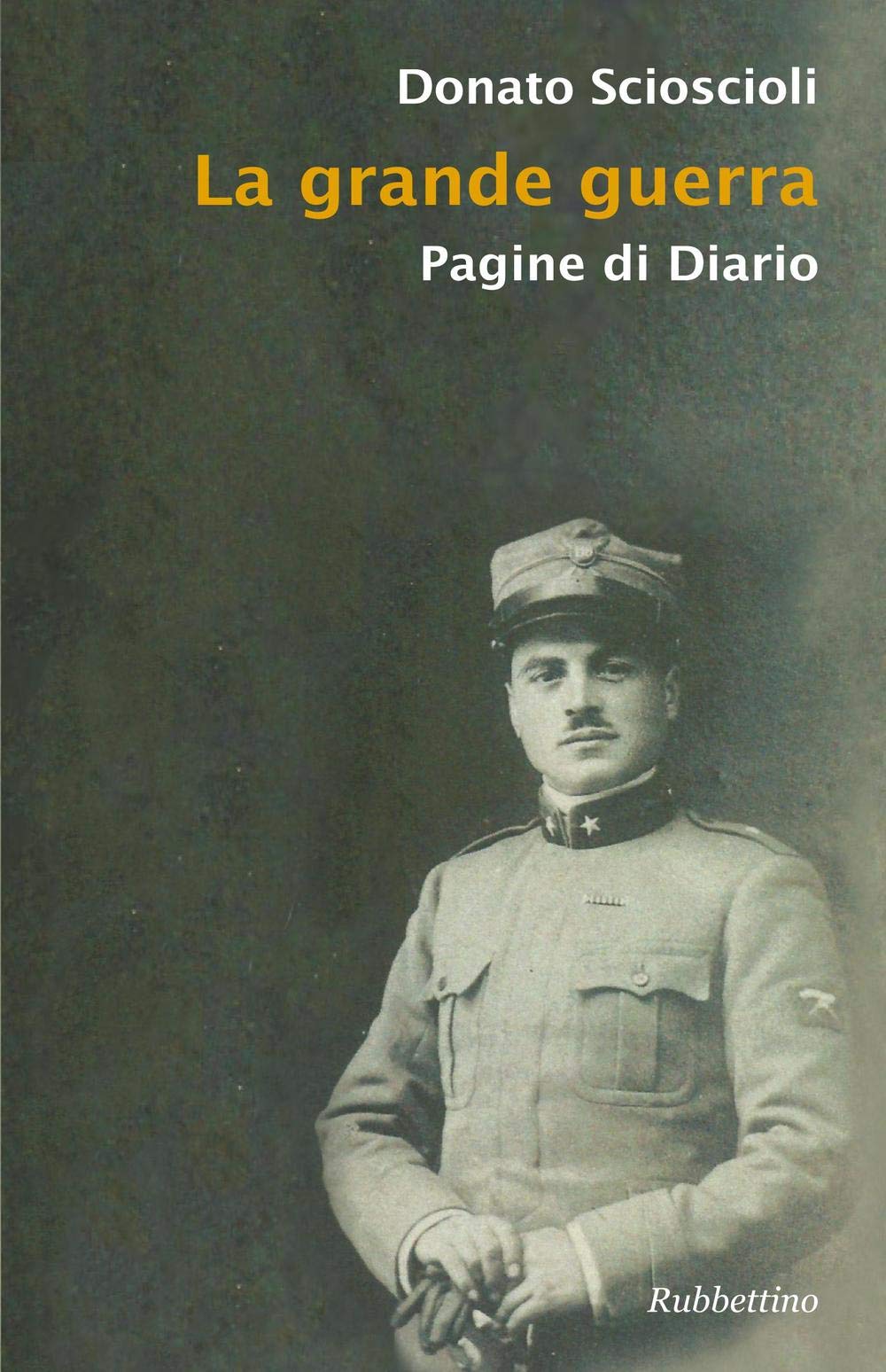 La grande guerra. Pagine di diario Politics & History