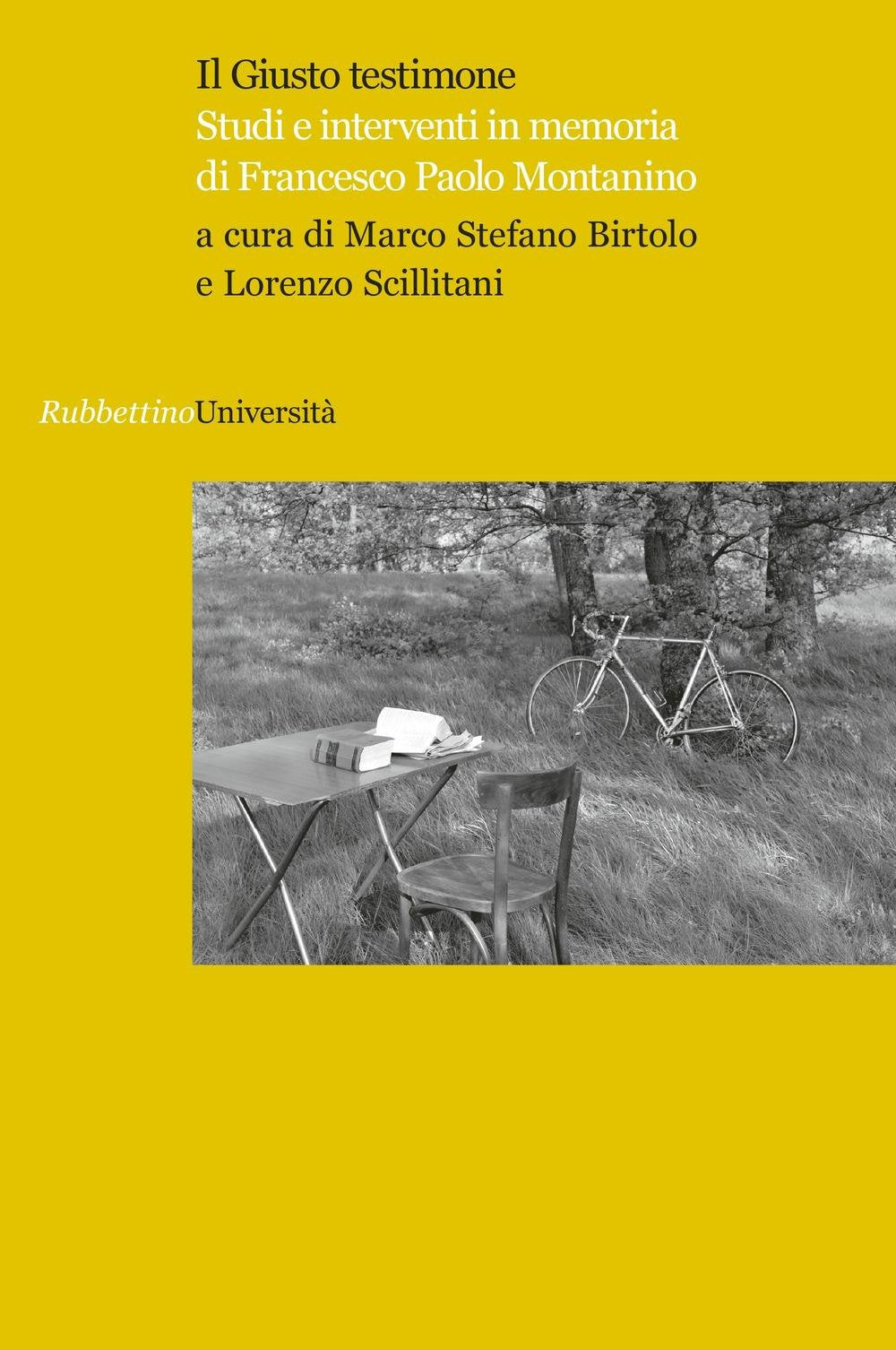 Il giusto testimone. Studi e interventi in memoria di Francesco Paolo Montanino (Università) Religion & Esotericism