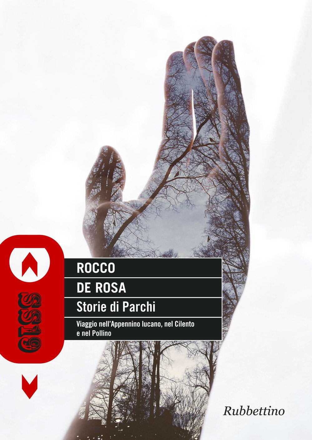 Storie di parchi. Viaggio nell'Appennino lucano, nel Cilento e nel Pollino (SS19) Leisure, Home & Garden