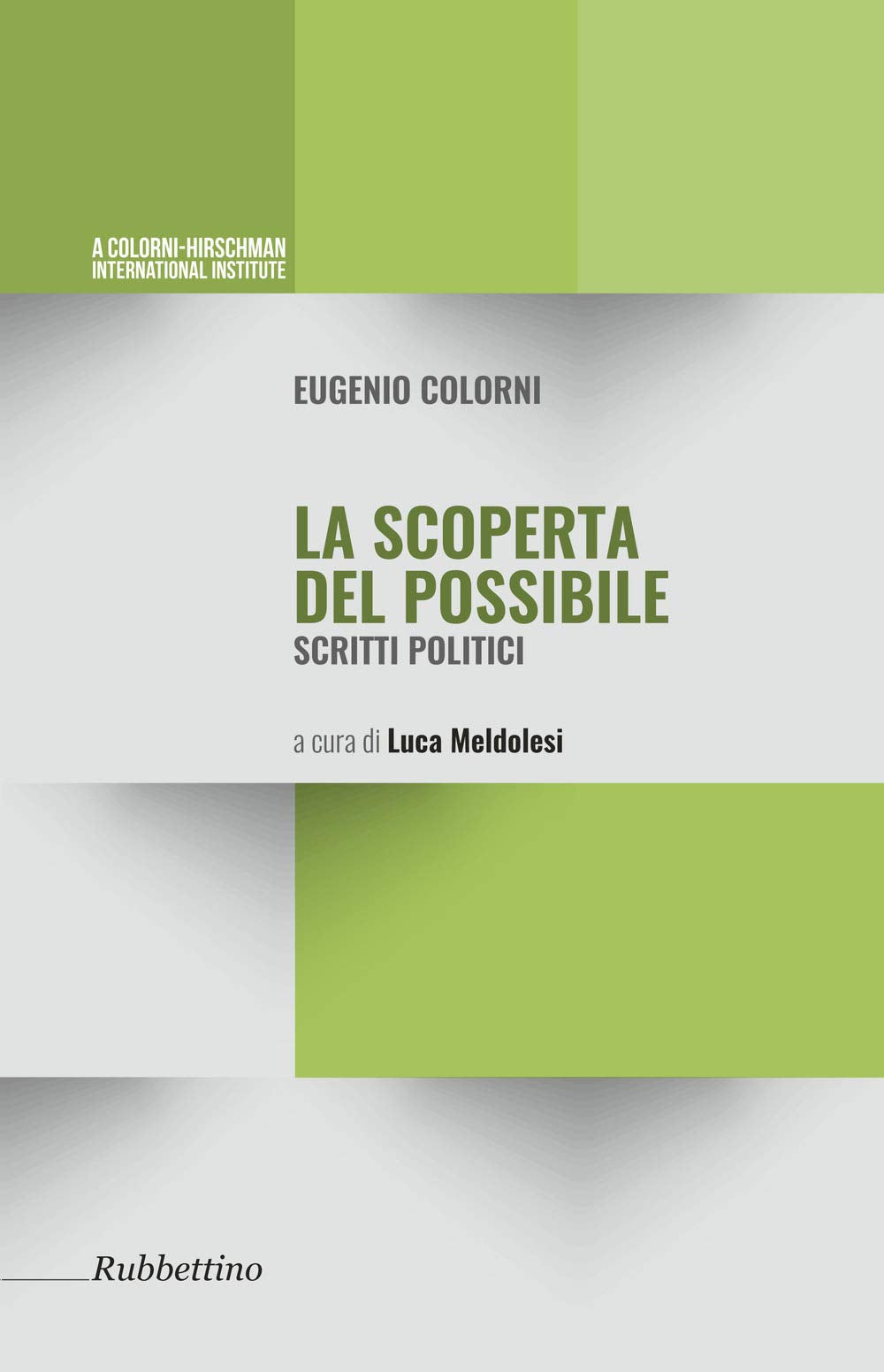 La scoperta possibile. Scritti politici Politics & History