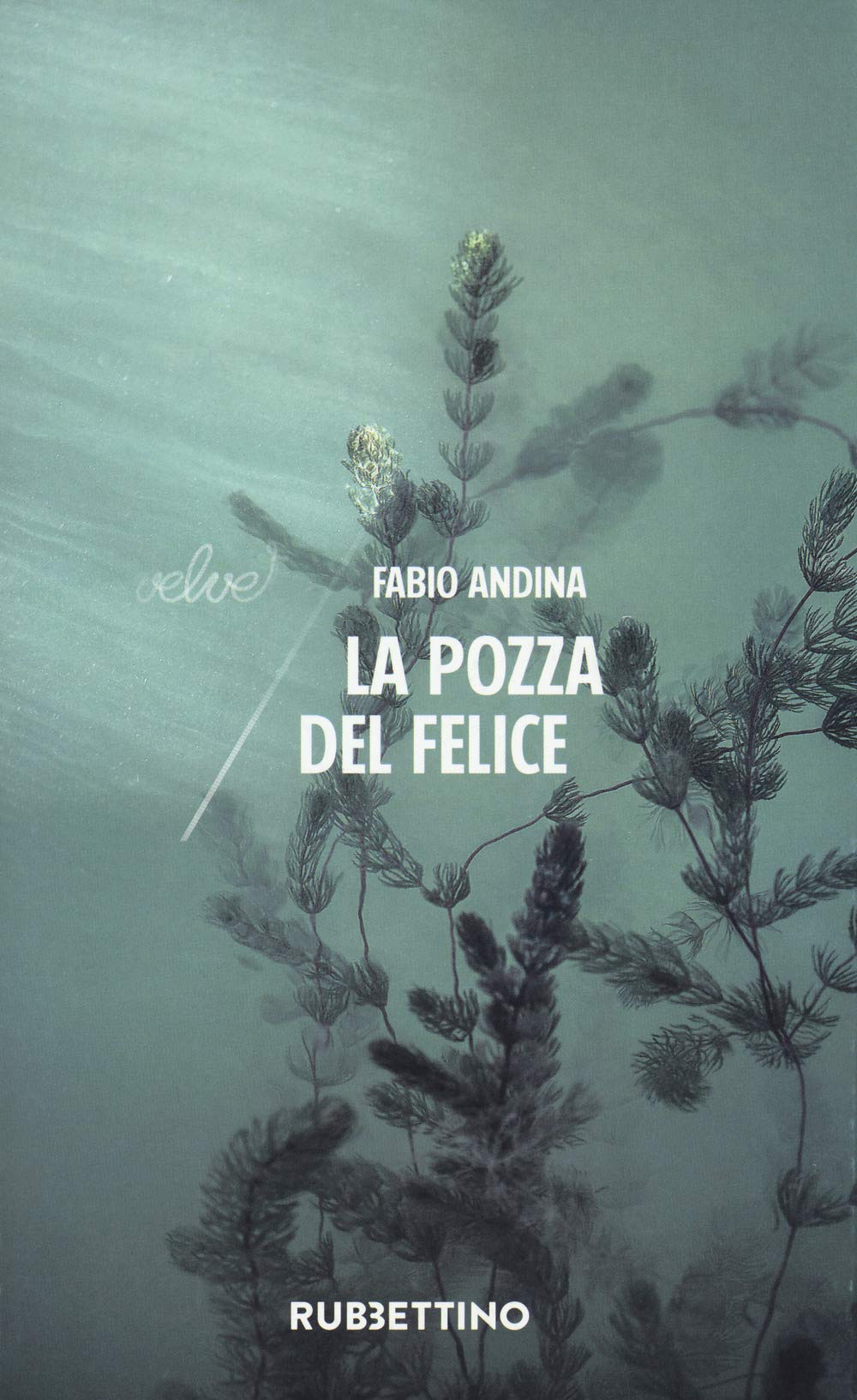 La Pozza Del Felice (Velvet) Contemporary literature