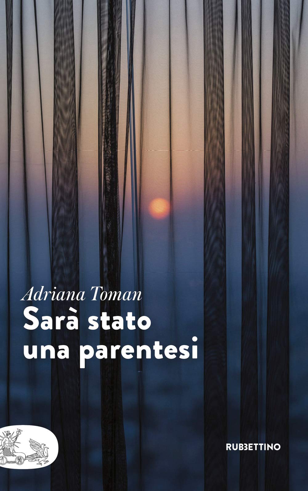 Sarà stato una parentesi book