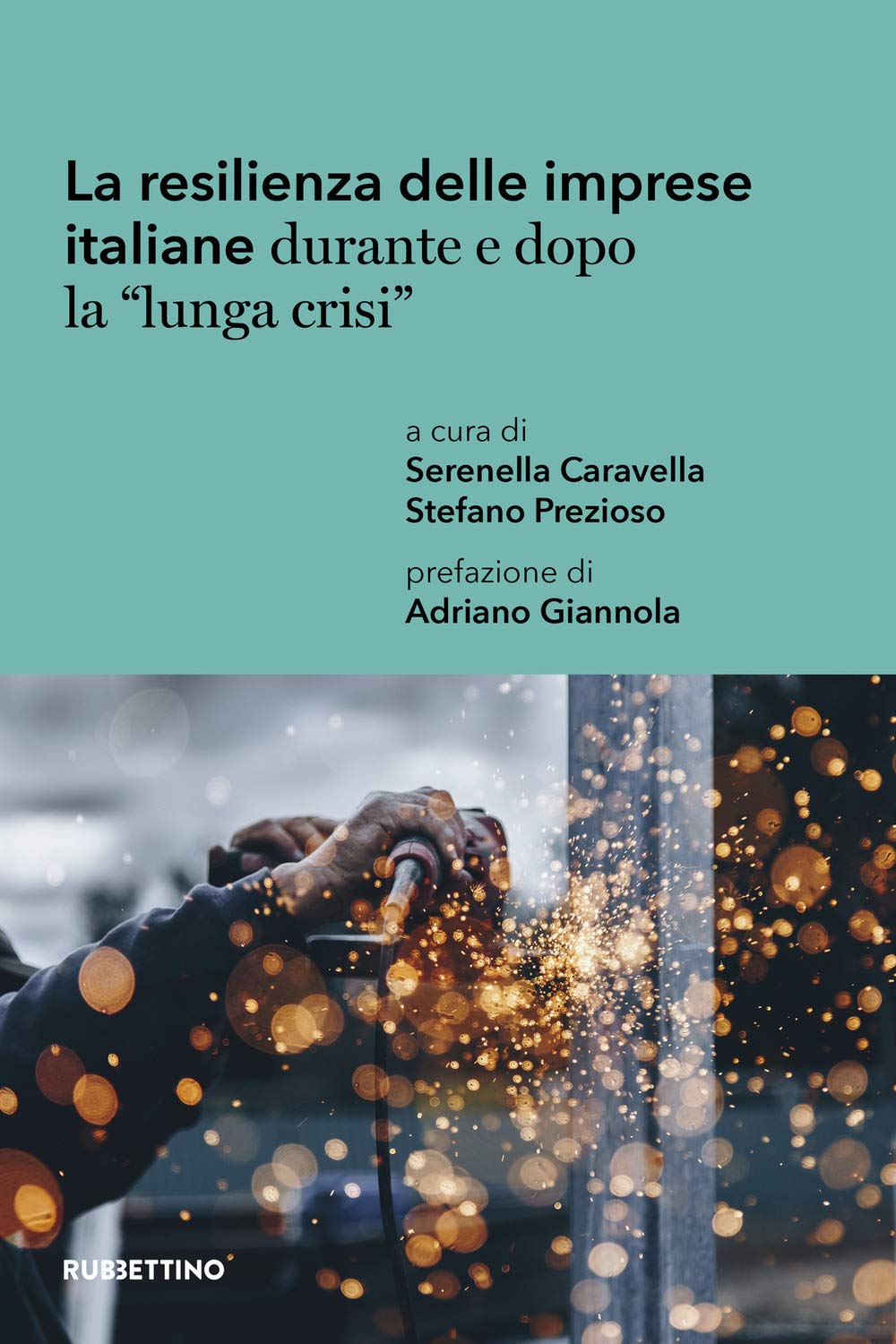 La resilienza delle imprese italiane durante e dopo la «lunga crisi» (Varia) Books