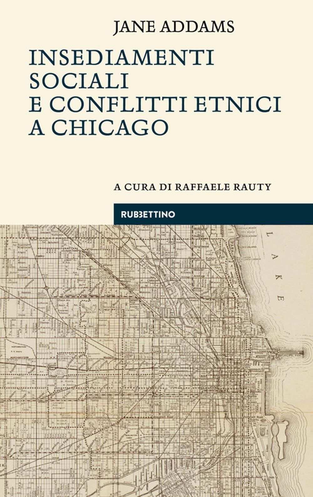 Insediamenti sociali e conflitti etnici a Chicago book