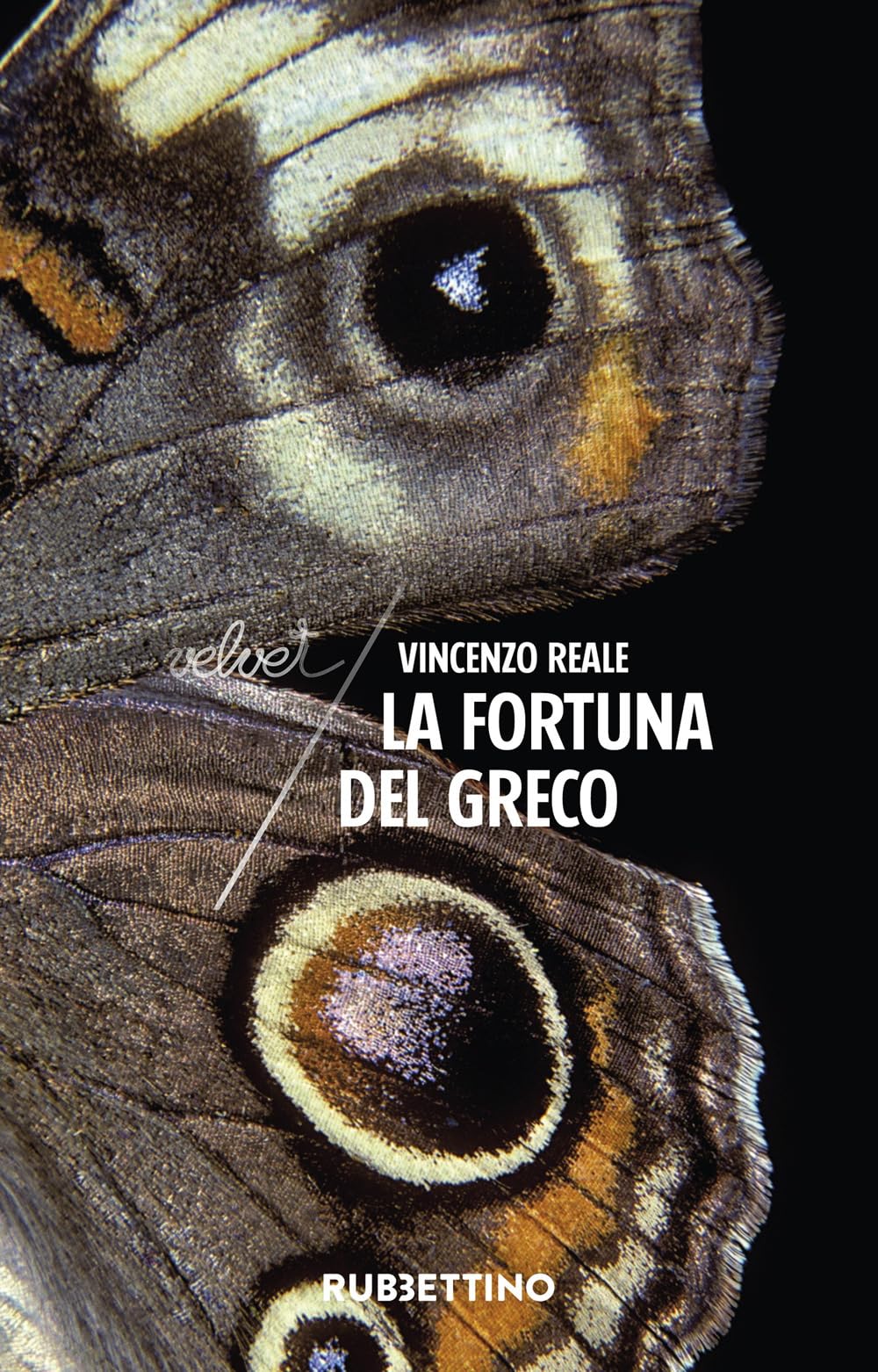 La fortuna del Greco book