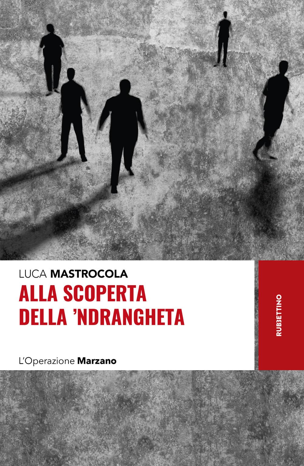 Alla scoperta della ‘ndrangheta. L'Operazione Marzano book