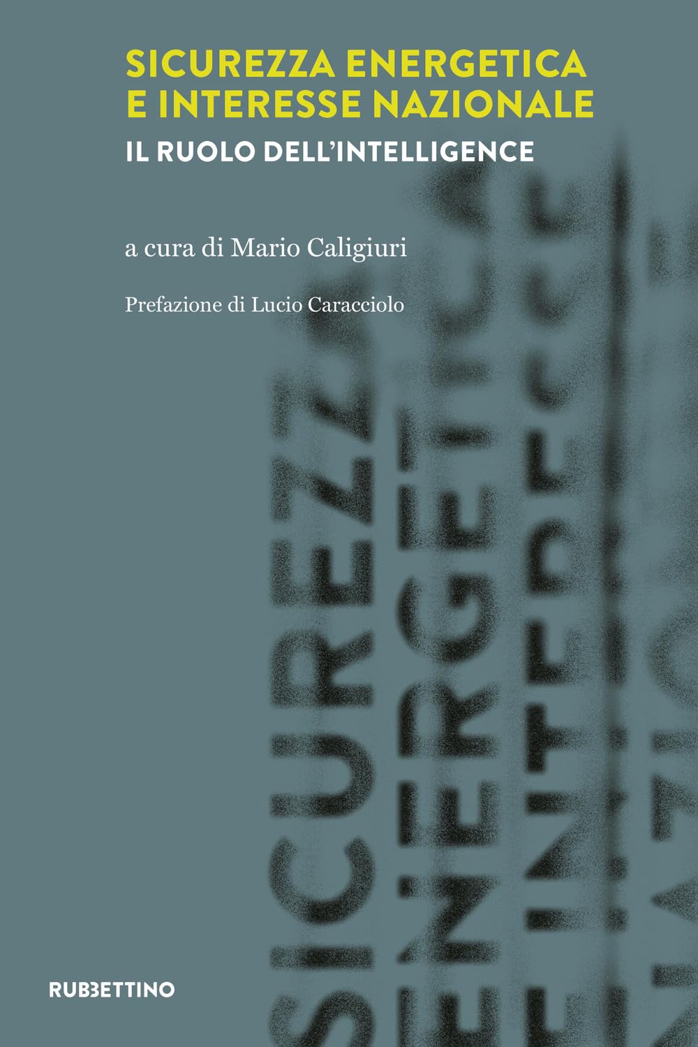 Sicurezza energetica e interesse nazionale. Il ruolo dell'intelligence book
