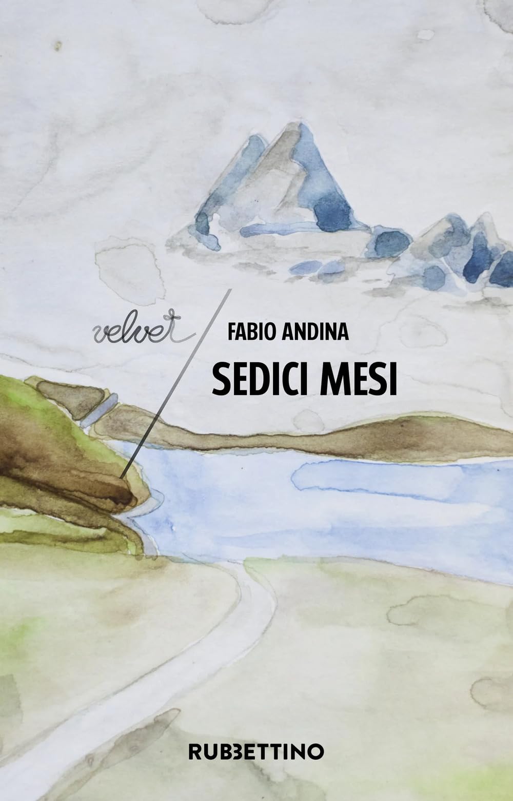 Sedici mesi (Velvet) Contemporary literature