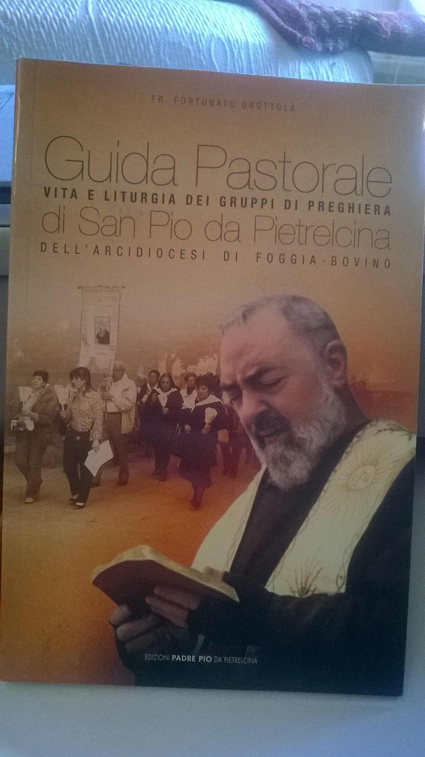 Guida pastorale. Vita e liturgia dei gruppi di preghiera di San Pio da Pietralcina Religion & Esotericism