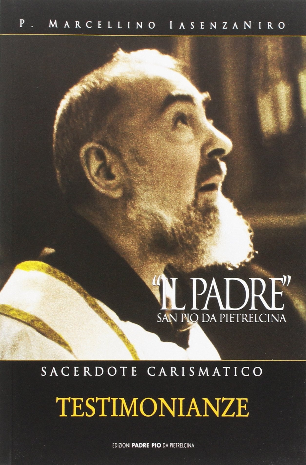 Il Padre. San Pio da Pietrelcina. Sacerdote carismatico (Vol. 2) book