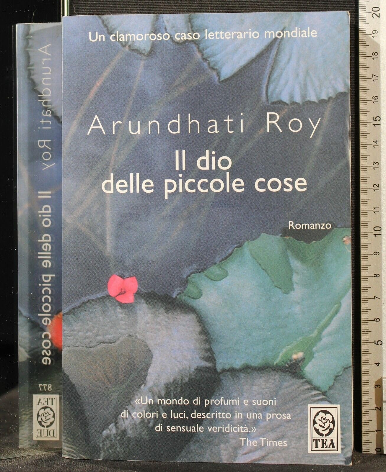 Il Dio Delle Piccole Cose (Teadue) Contemporary literature Books
