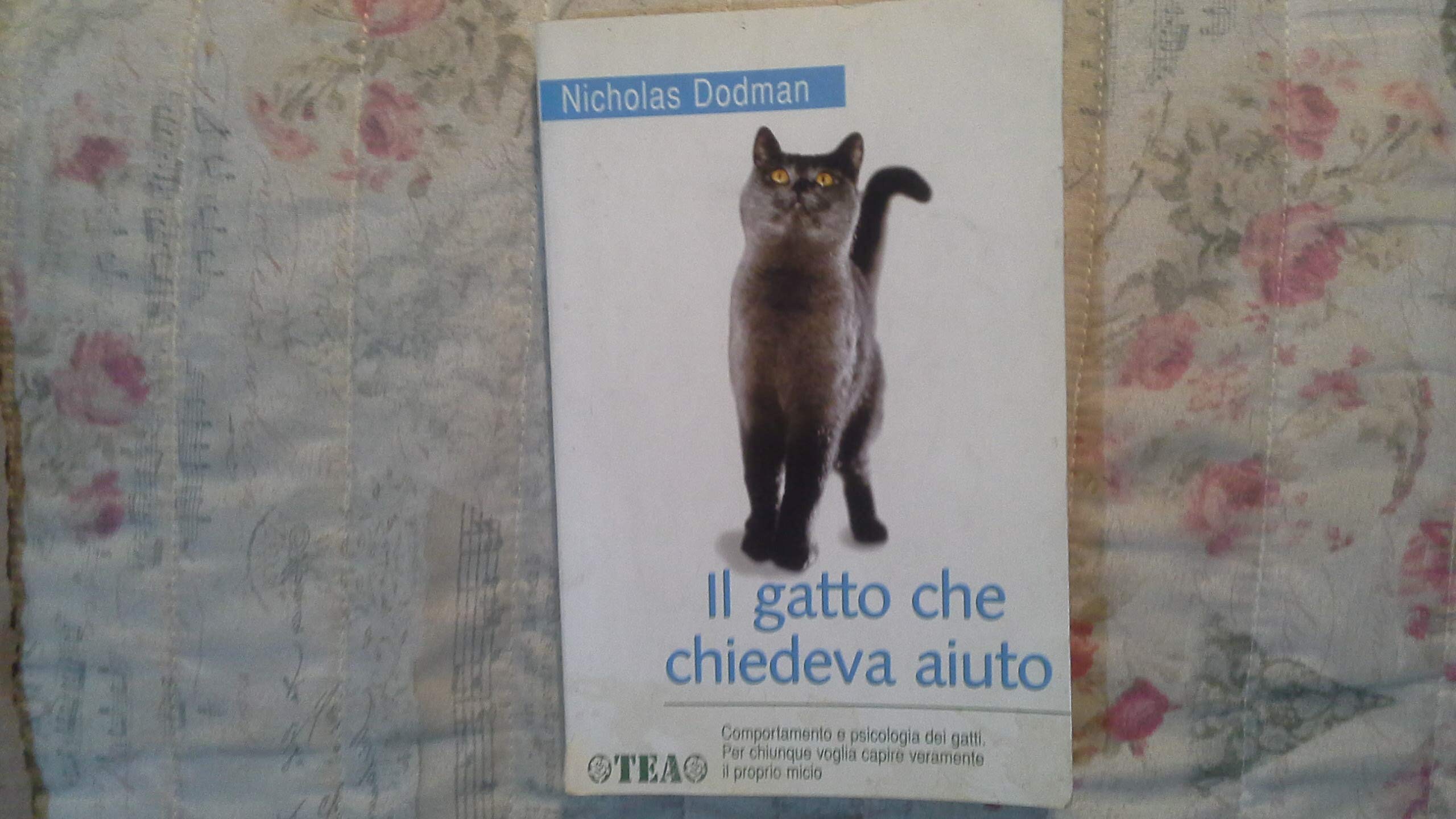 Il gatto che chiedeva aiuto (Tea pratica) Pets