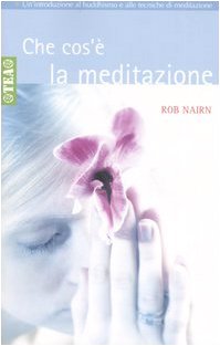 Che cos'è la meditazione? Introduzione al buddhismo e alla meditazione book
