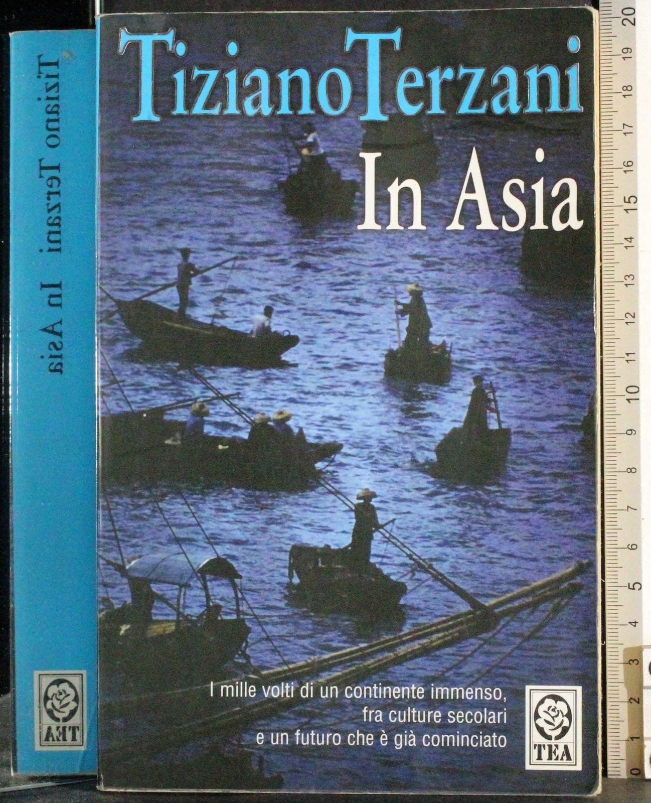In Asia (Saggistica TEA) Contemporary literature Books