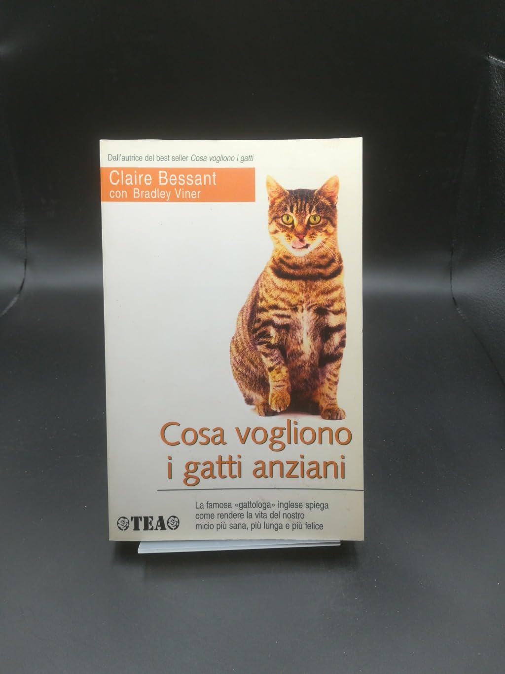 Cosa vogliono i gatti anziani (Tea pratica) Pets