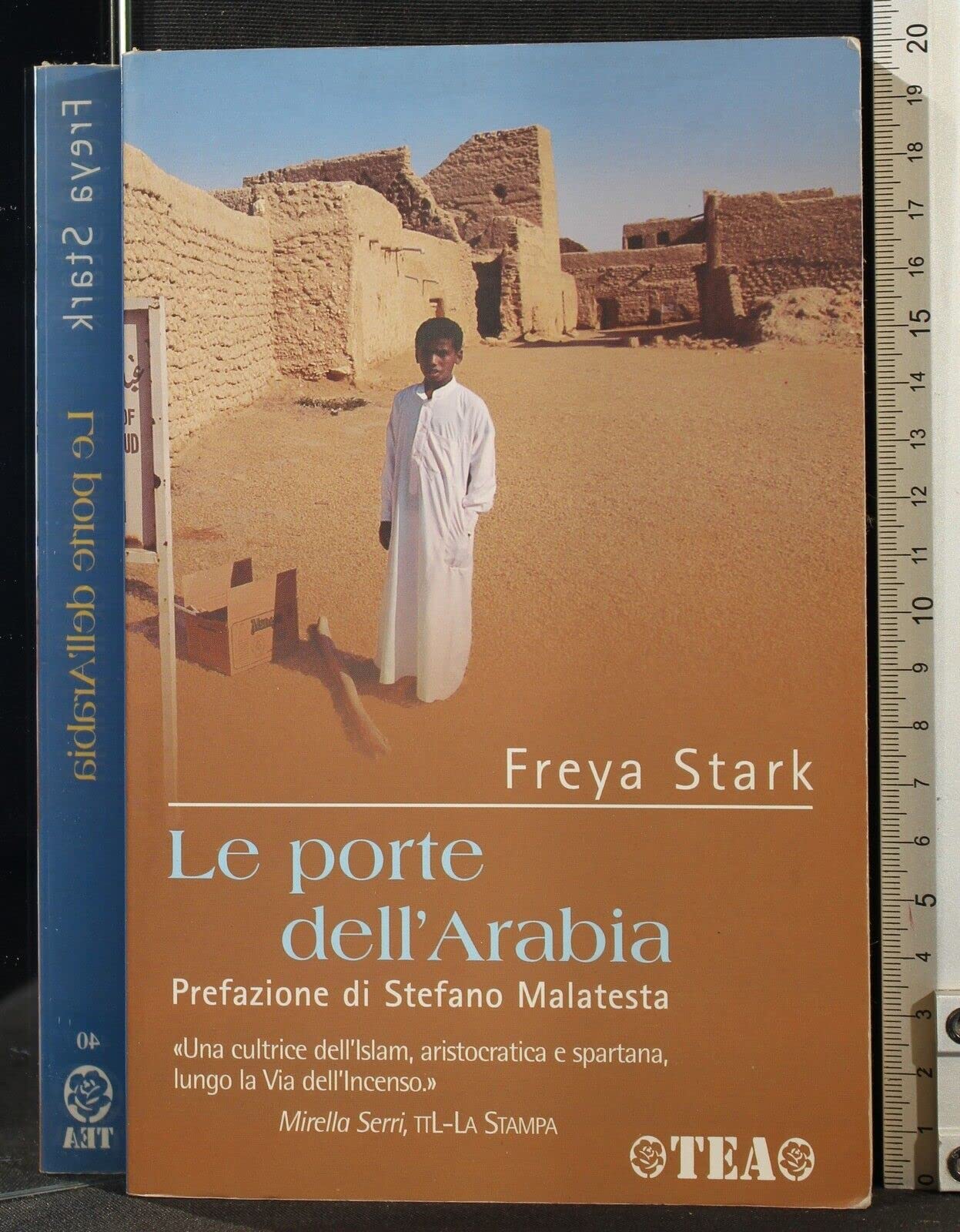 Le porte dell'Arabia (Tea Avventure) Leisure, Home & Garden