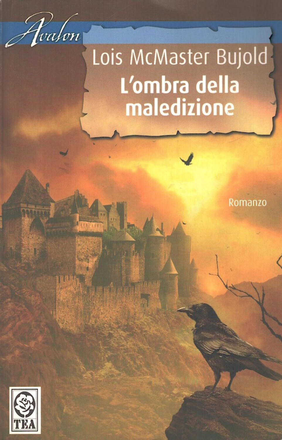 L'ombra della maledizione (Teadue) Contemporary literature