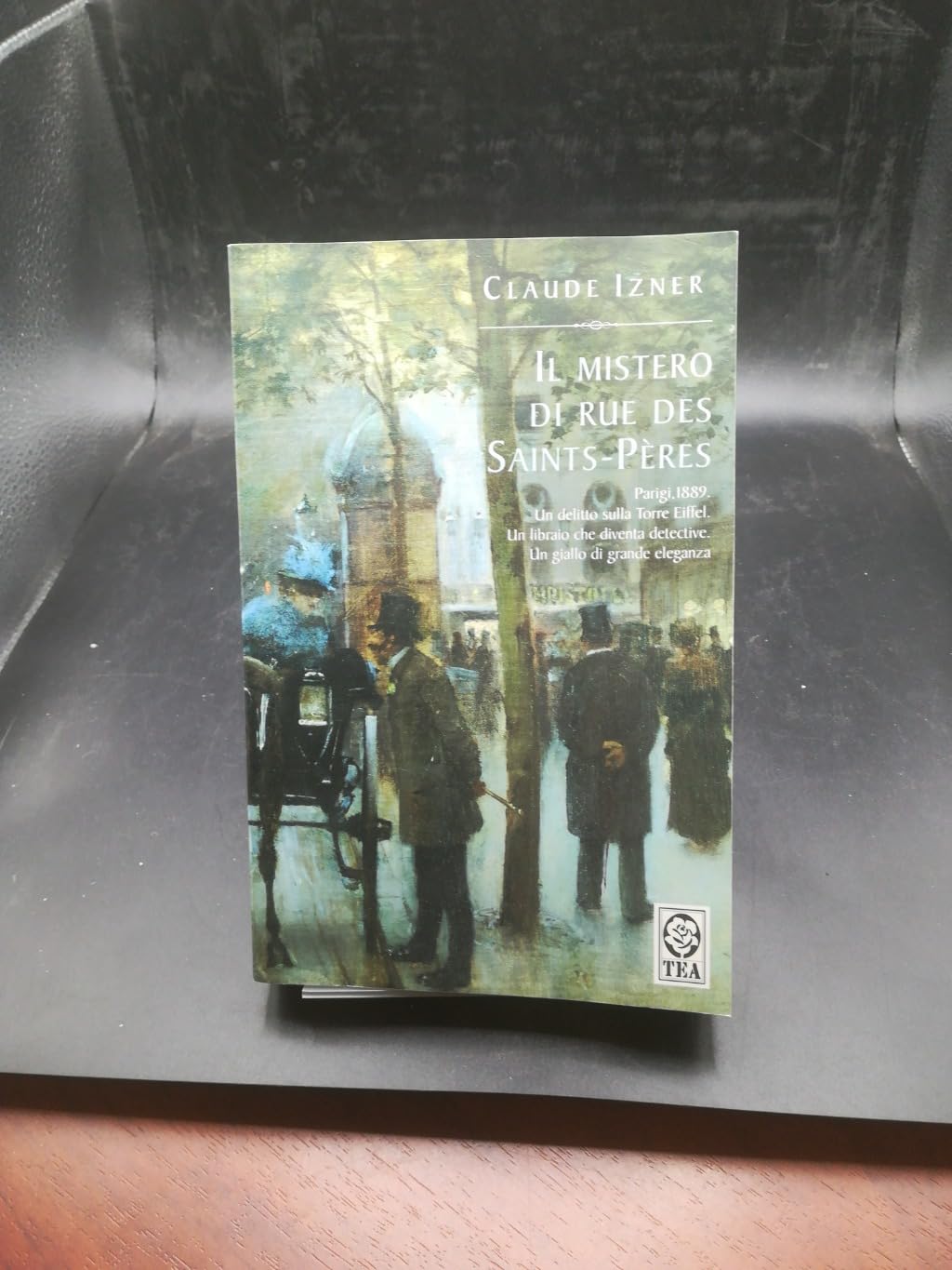 Il mistero di Rue des Saints-Pères (Teadue) Historical Fiction