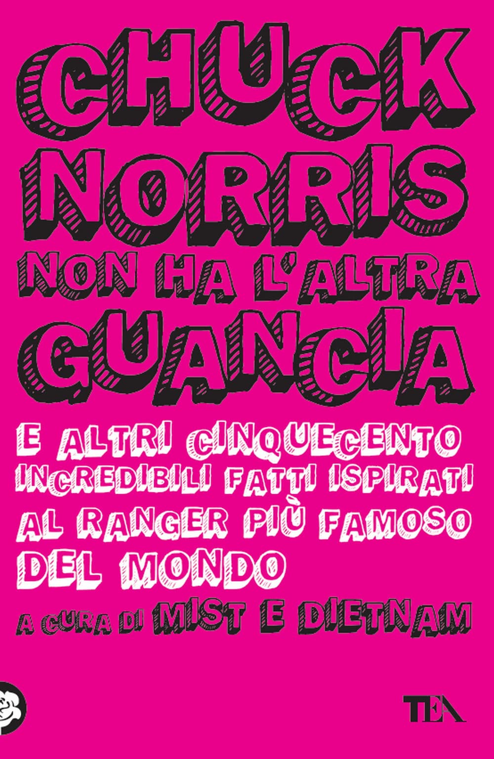 Chuck Norris non ha l'altra guancia e altri cinquecento incredibili fatti ispirati al ranger più famoso del mondo Leisure, Home & Garden