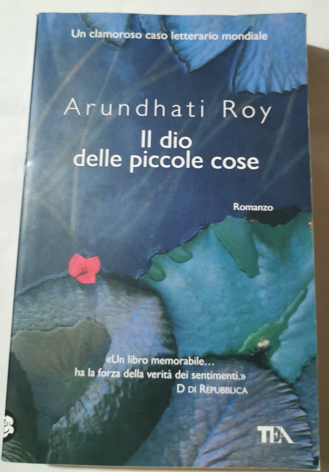 Il dio delle piccole cose (I Grandi TEA) Contemporary literature