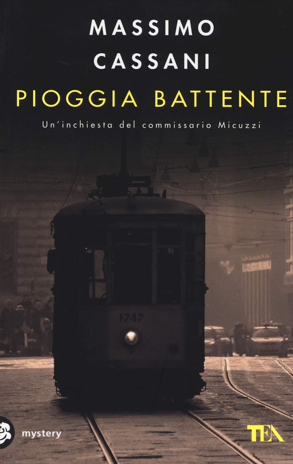 Pioggia battente. Un'inchiesta del commissario Micuzzi book