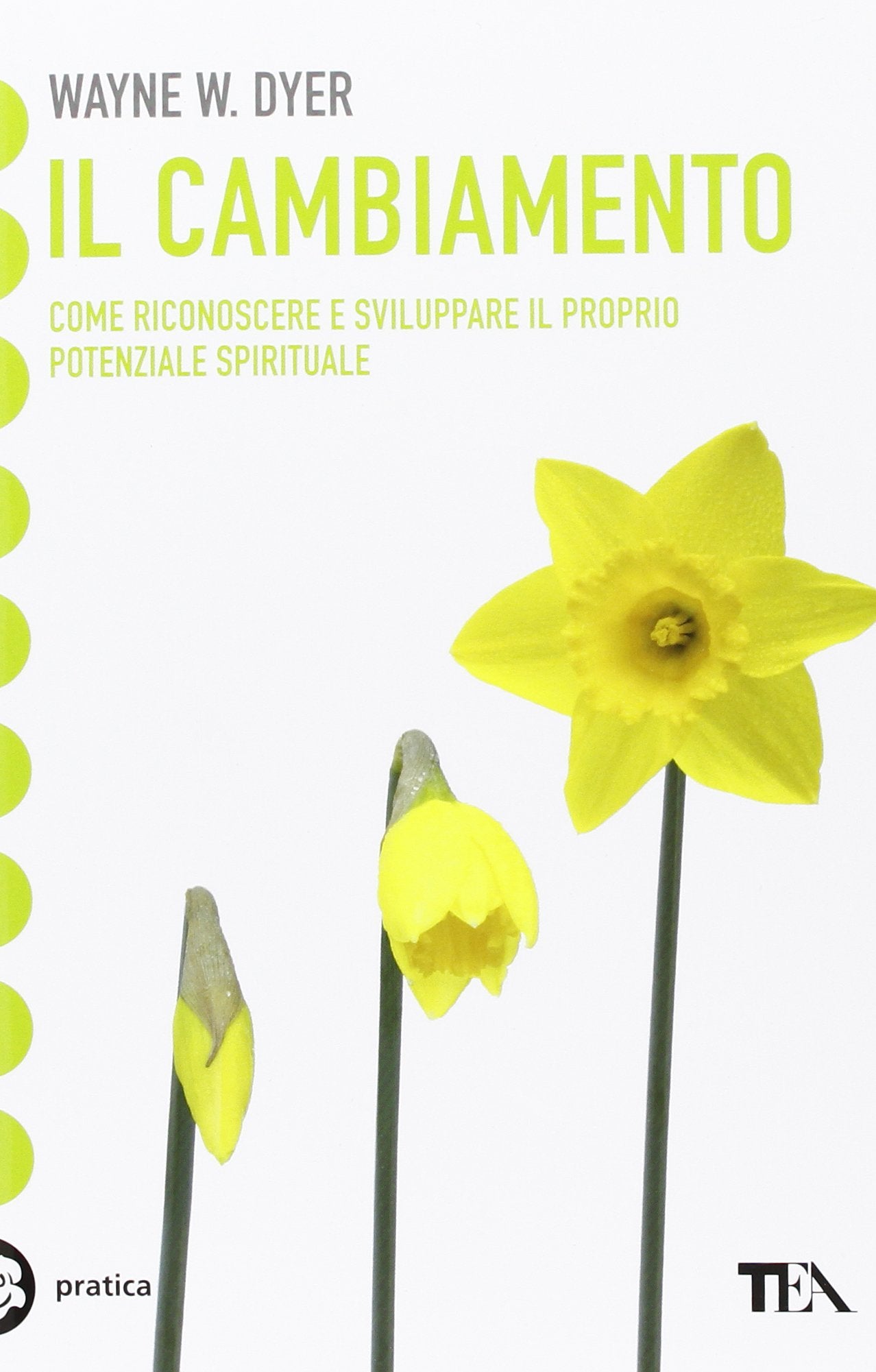 Il cambiamento. Dall'ambizione di avere alla consapevolezza dell'essere book