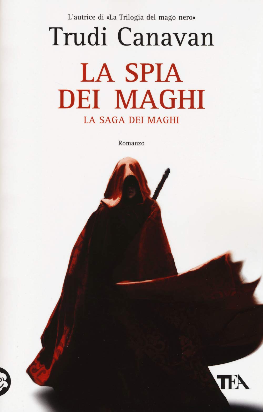 La spia dei maghi. La saga dei maghi book