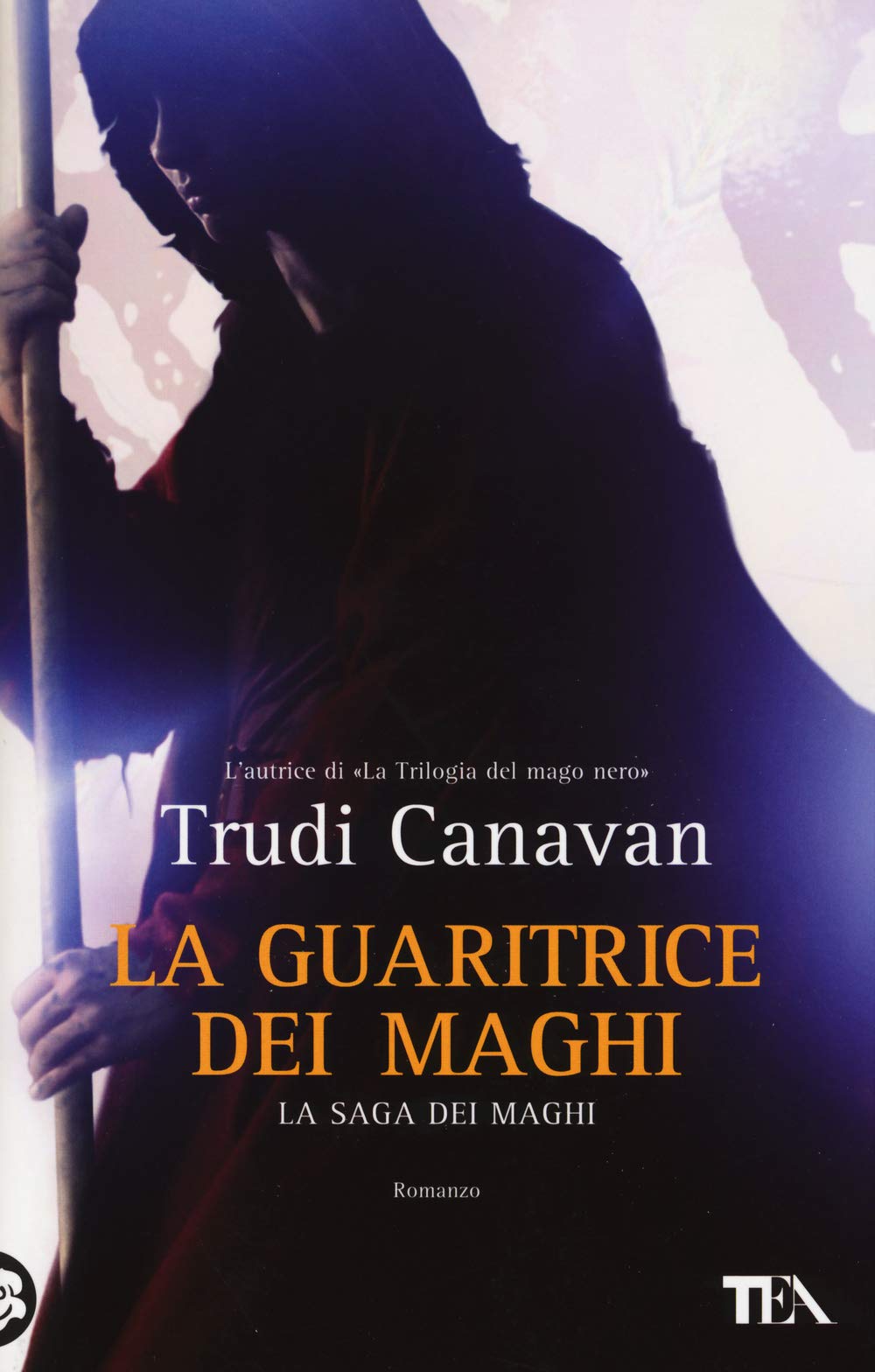 La guaritrice dei maghi. La saga dei maghi book