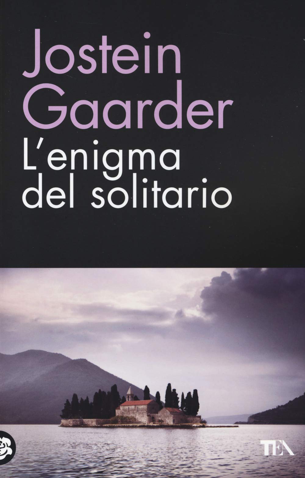 L'enigma del solitario book
