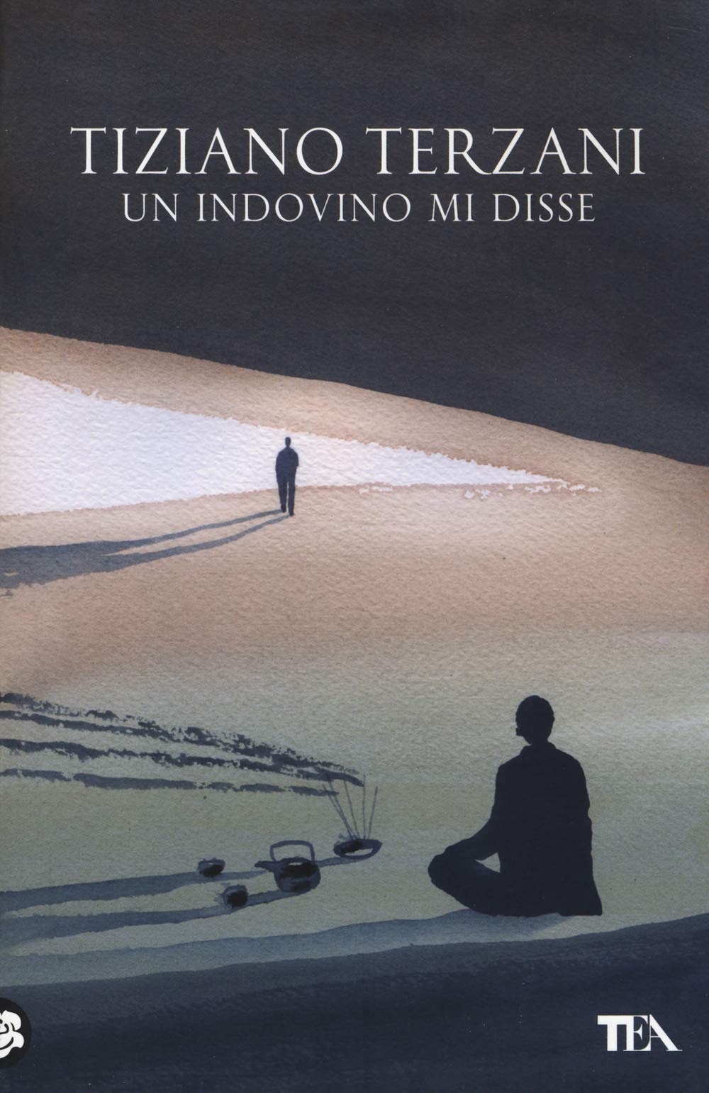 Un indovino mi disse book