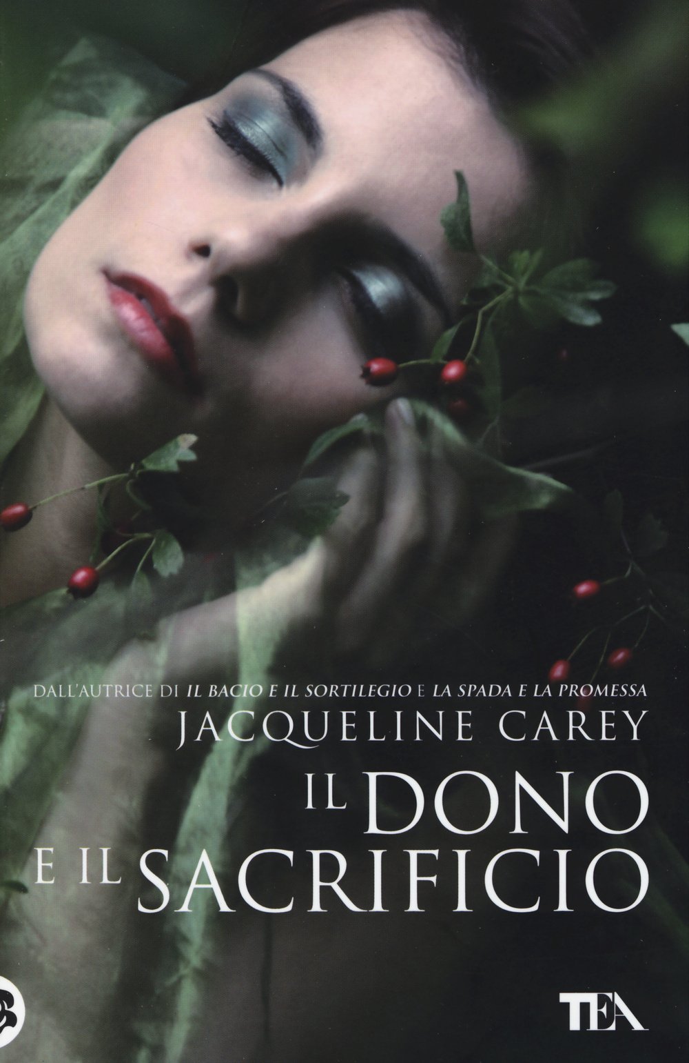 Il dono e il sacrificio. Ediz. illustrata book