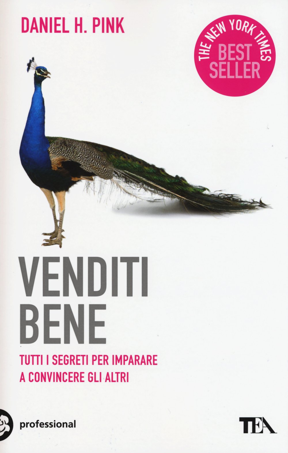 Venditi bene. Tutti i segreti per imparare a convincere gli altri Business, Finance & Career