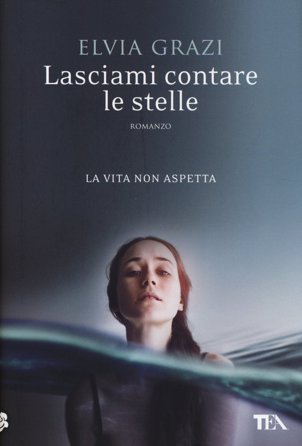 Lasciami contare le stelle book