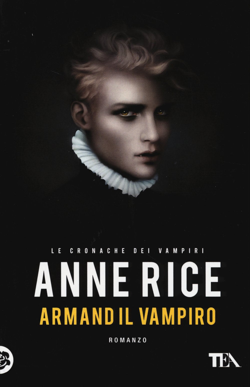 Armand il vampiro. Le cronache dei vampiri book