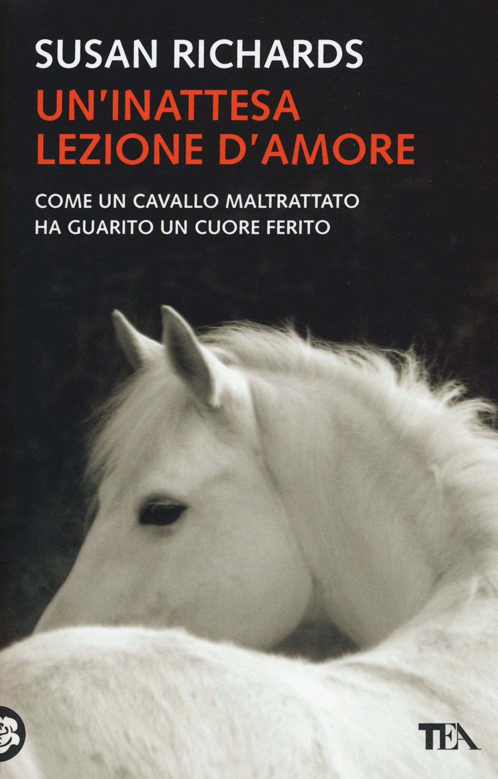 Un'inattesa lezione d'amore (Teadue) Memories
