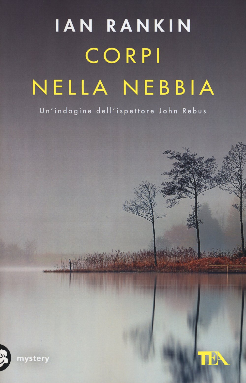 Corpi nella nebbia (Mystery TEA) Contemporary literature