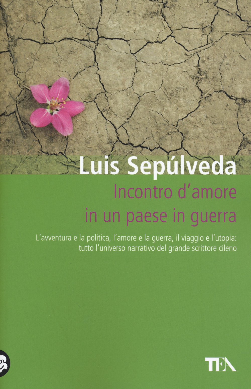 Incontro d'amore in un paese in guerra book