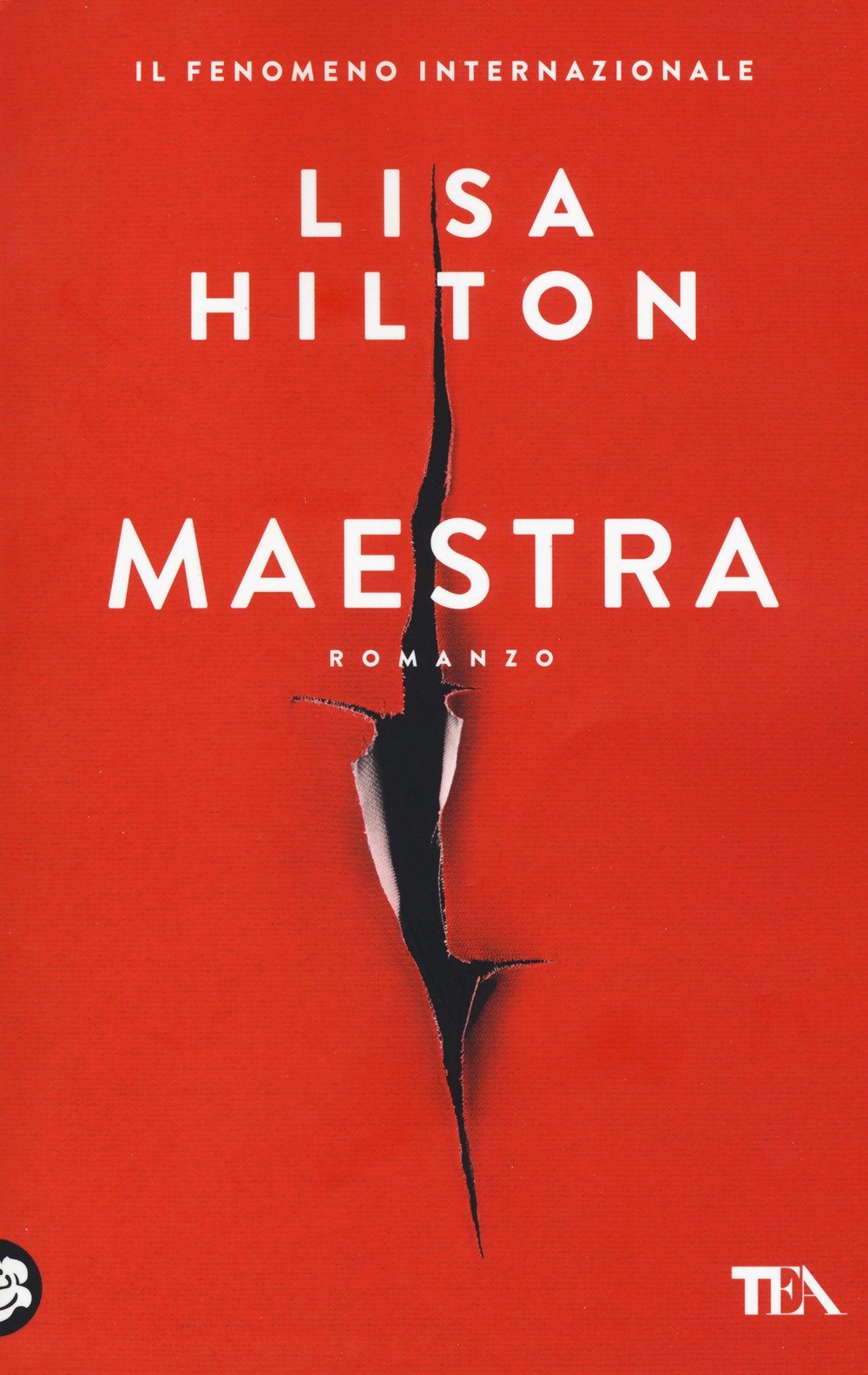 Maestra Contemporary literature Books