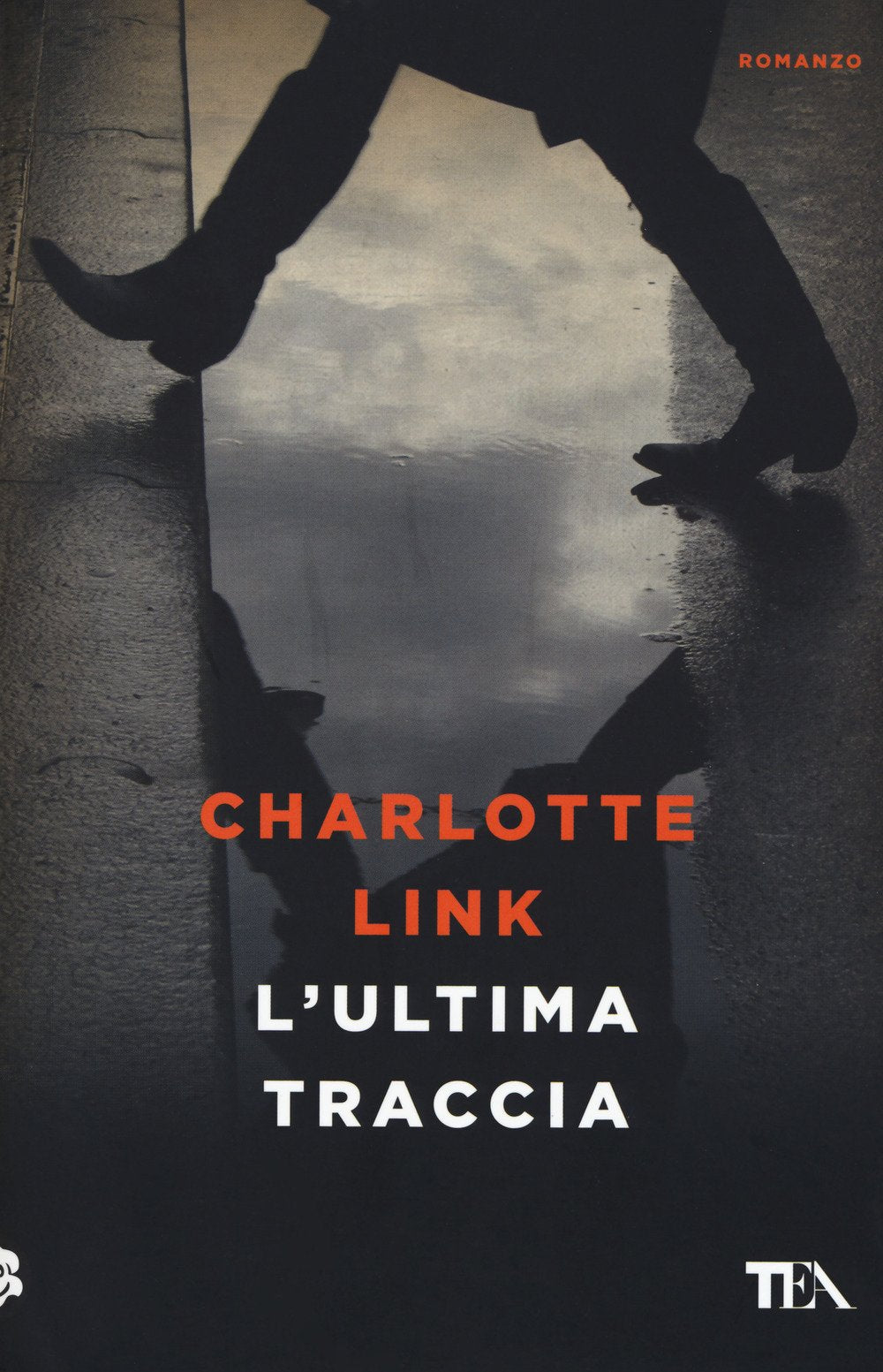 L'ultima traccia (Narrativa best seller) Action & Adventure