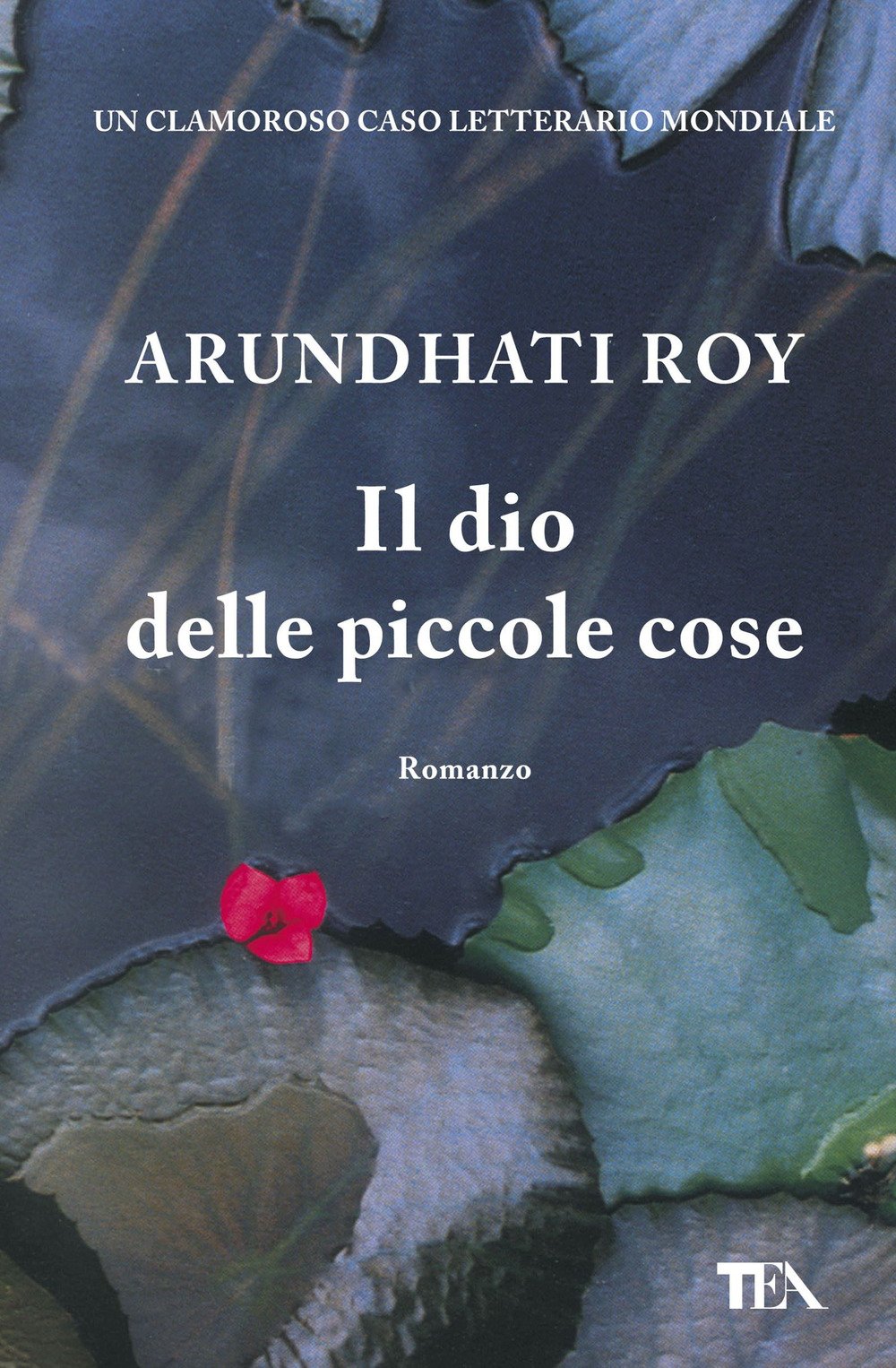 Il dio delle piccole cose (Super TEA Plus) Contemporary literature