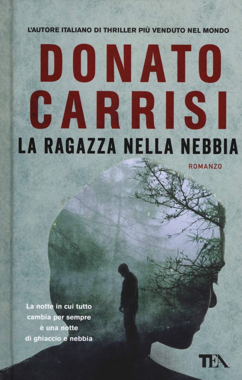 La ragazza nella nebbia (Super TEA Plus) Action & Adventure