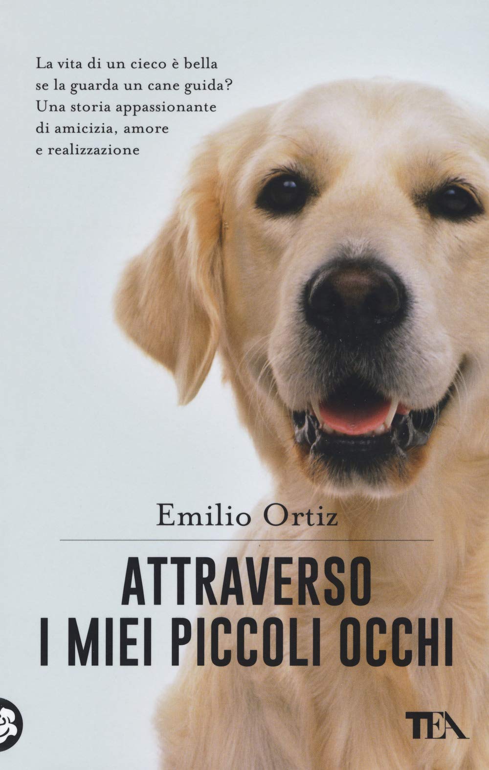 Attraverso i miei piccoli occhi (TEA pet) Contemporary literature