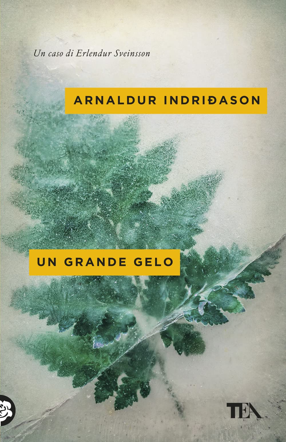 Un grande gelo. I casi dell'ispettore Erlendur Sveinsson. Vol. 5 Contemporary literature