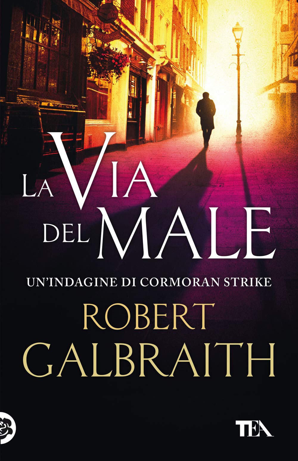La via del male. Un'indagine di Cormoran Strike book