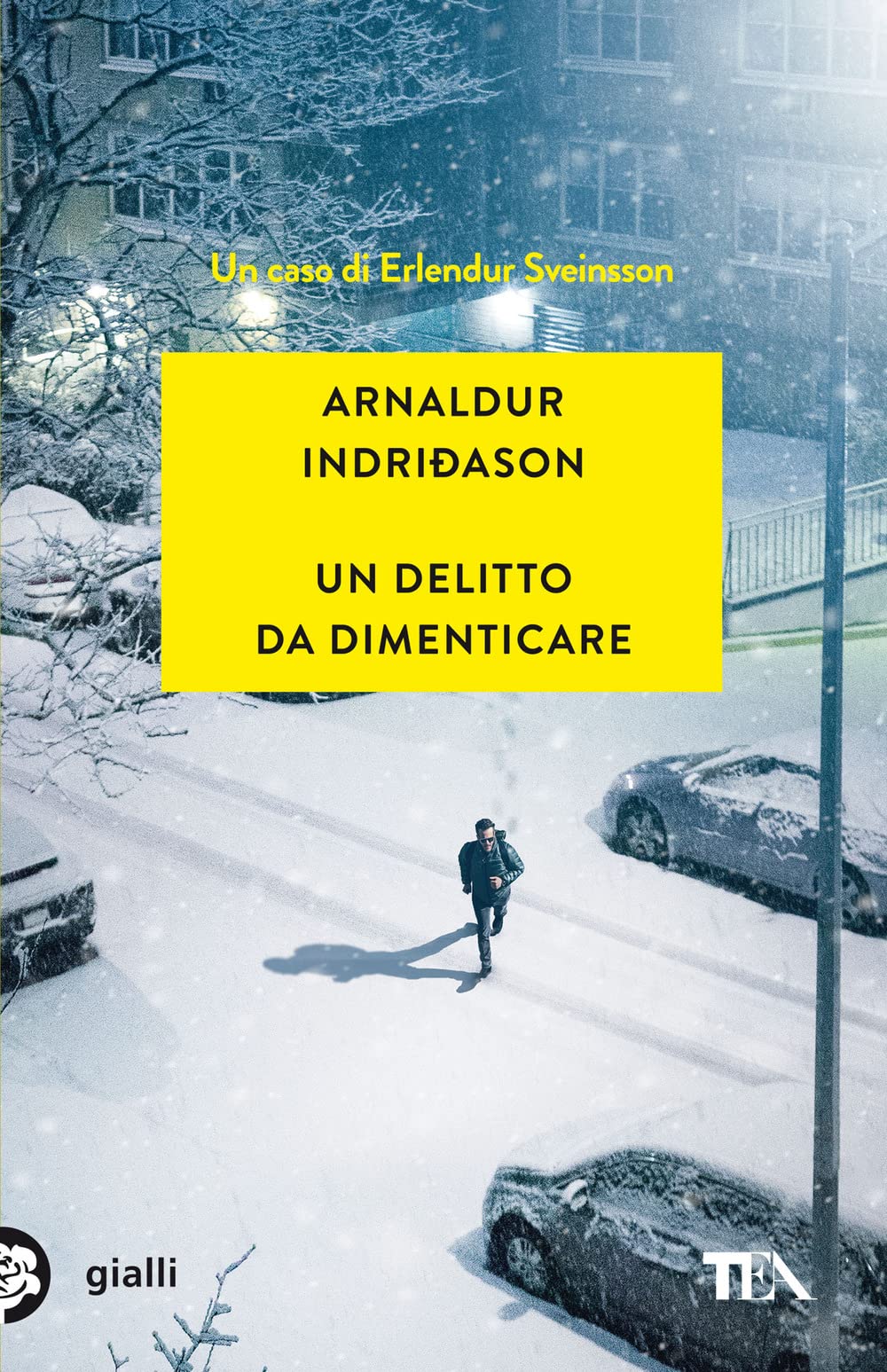 Un delitto da dimenticare. I casi dell'ispettore Erlendur Sveinsson (Vol. 13) book