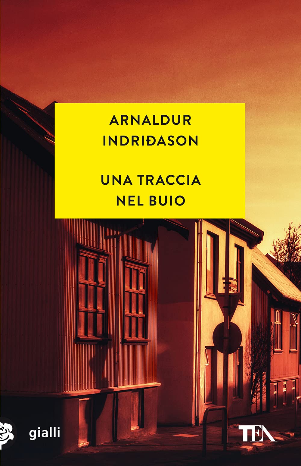 Una traccia nel buio book