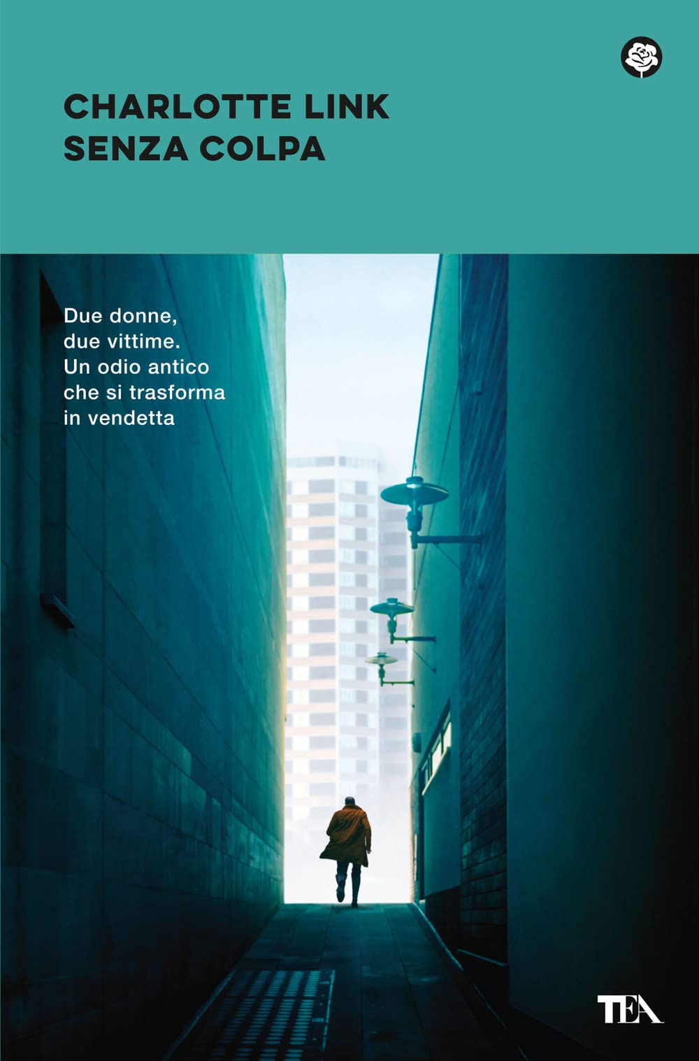 Senza colpa. Le indagini di Kate Linville book
