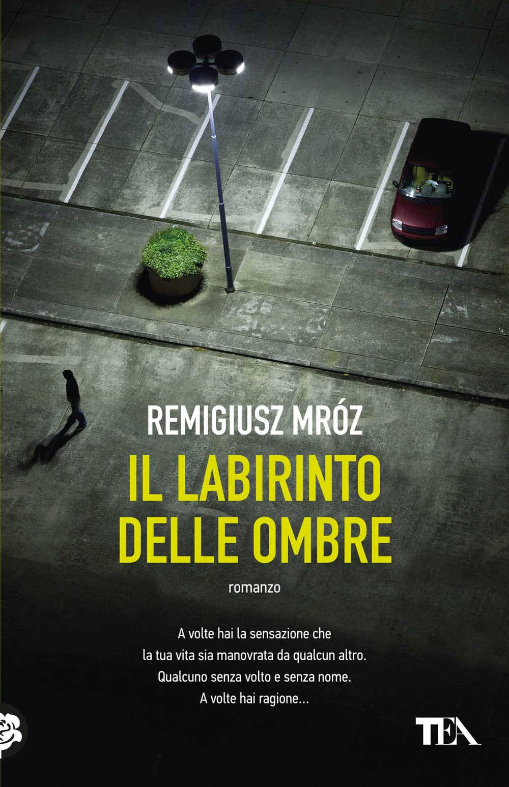 Il labirinto delle ombre (SuperTEA) Action & Adventure